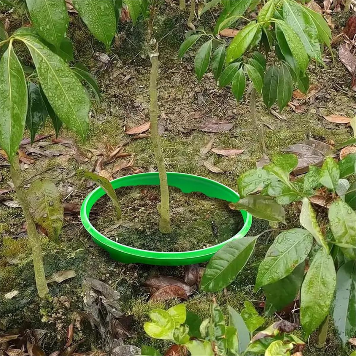【COUNTDOWN DEAL】 4 Plant Guard - Gardening Tools Deals review and price