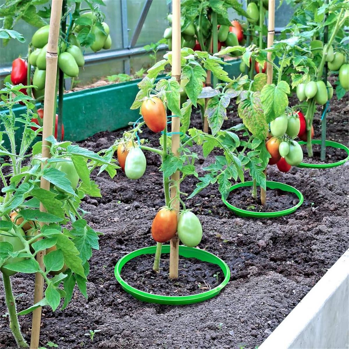 【COUNTDOWN DEAL】 4 Plant Guard - Gardening Tools Deals review and price