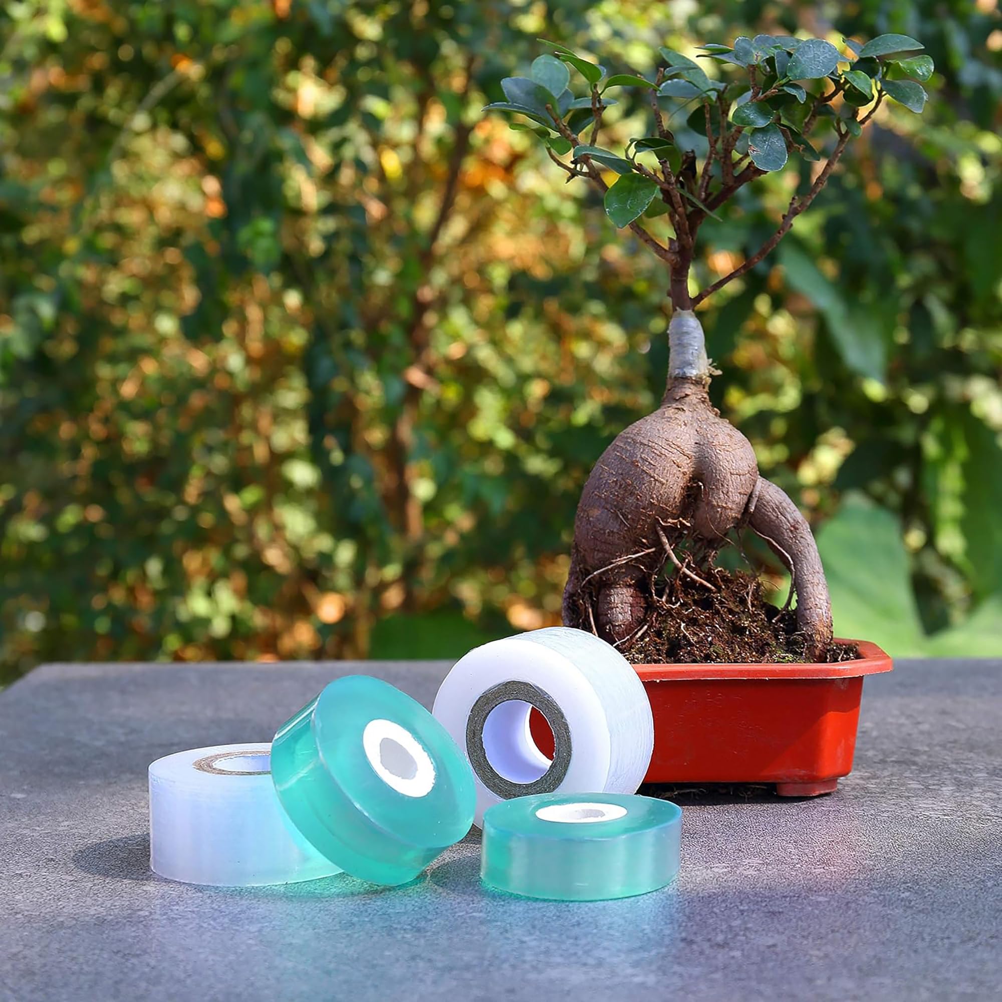 Easy Use Biodegradable Self Ad - Gardening Tools And Uses review and price