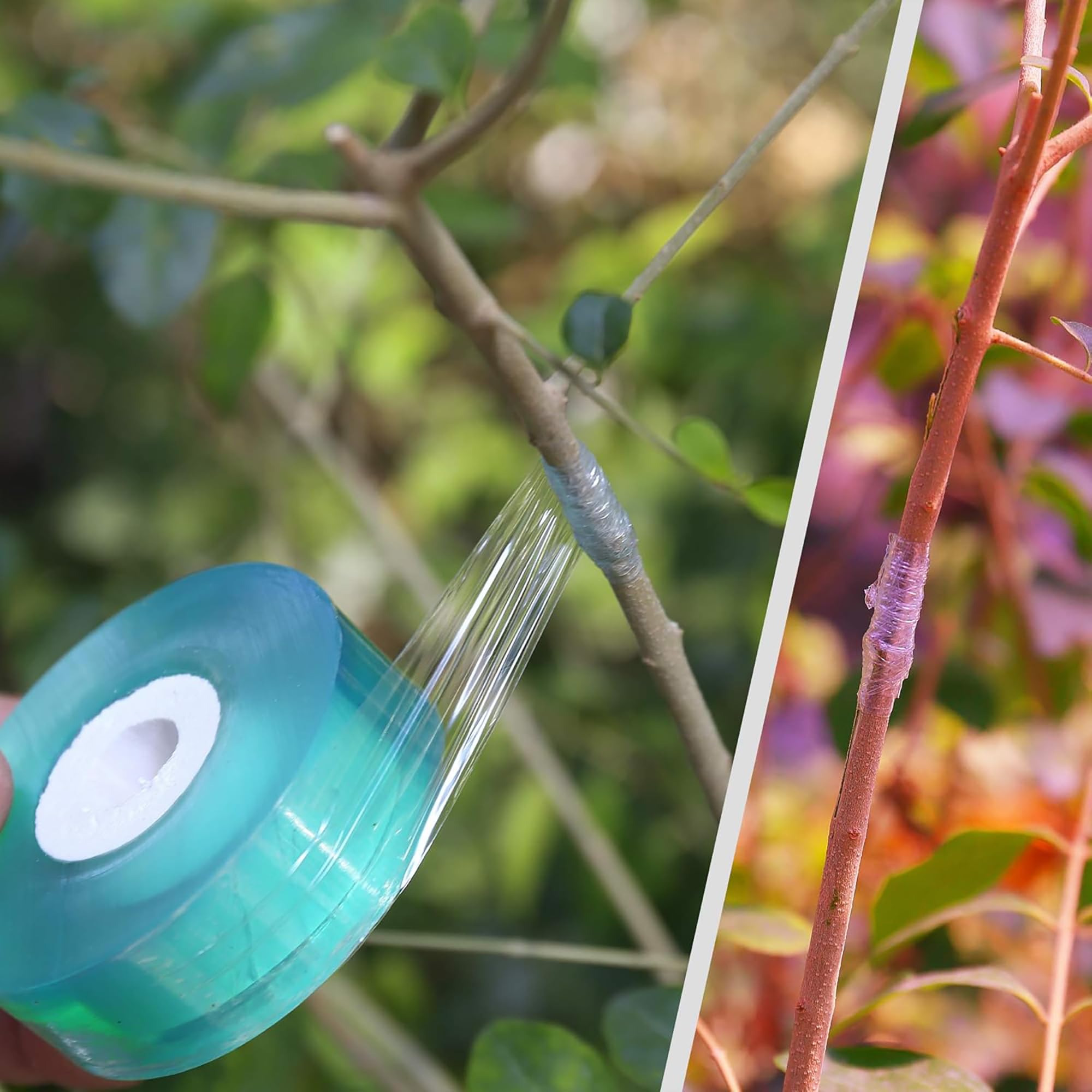 Easy Use Biodegradable Self Ad - Gardening Tools And Uses review and price