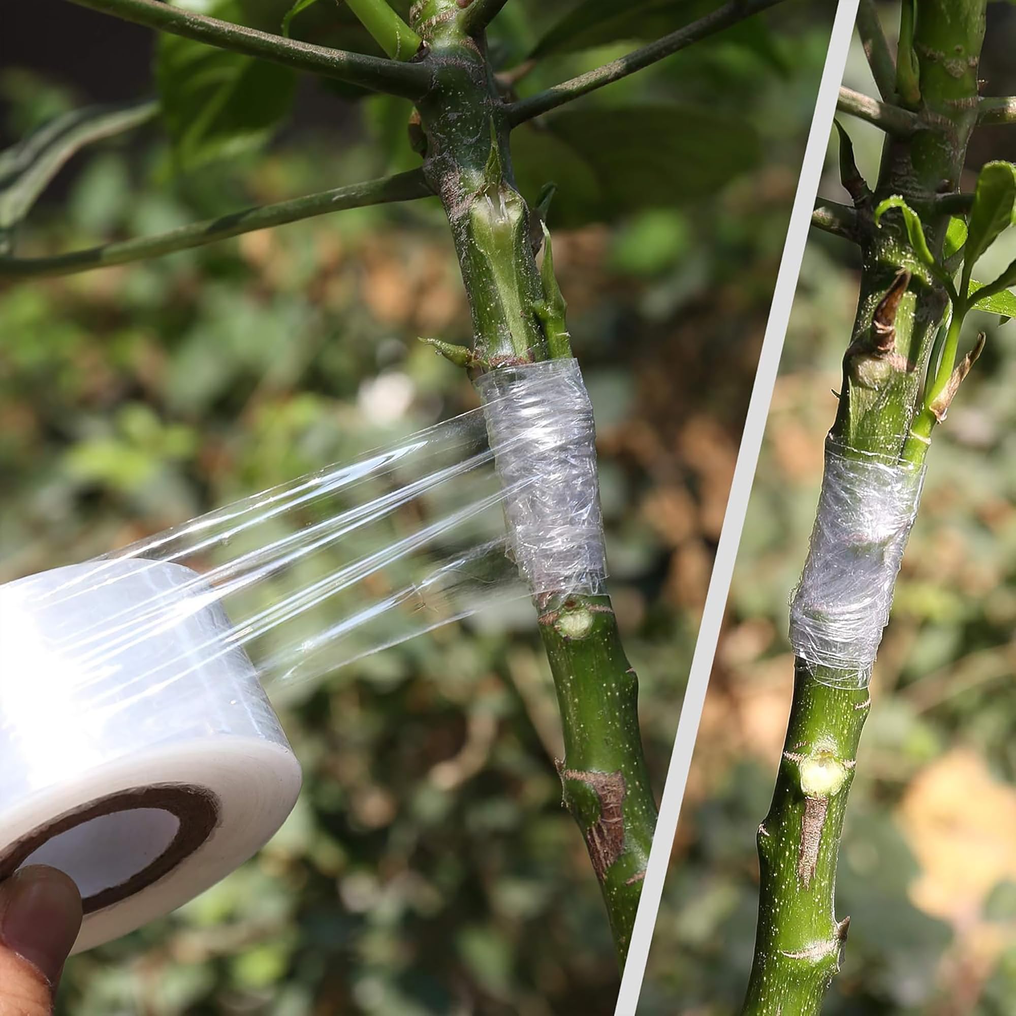 Easy Use Biodegradable Self Ad - Gardening Tools And Uses review and price