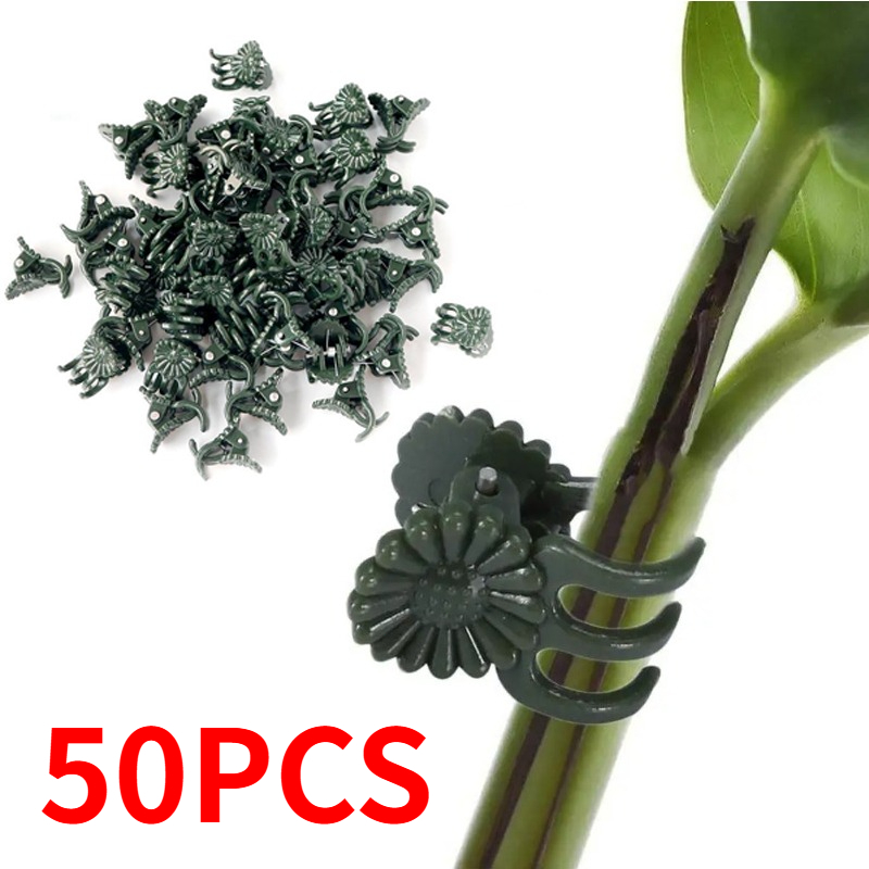 50PCS 5-Claw Dark Green Plant  - Gardening Tools Bundle review and price