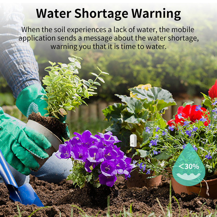 Smart ZigBee Soil Moisture Sen - Moisture Meter Plant review and price