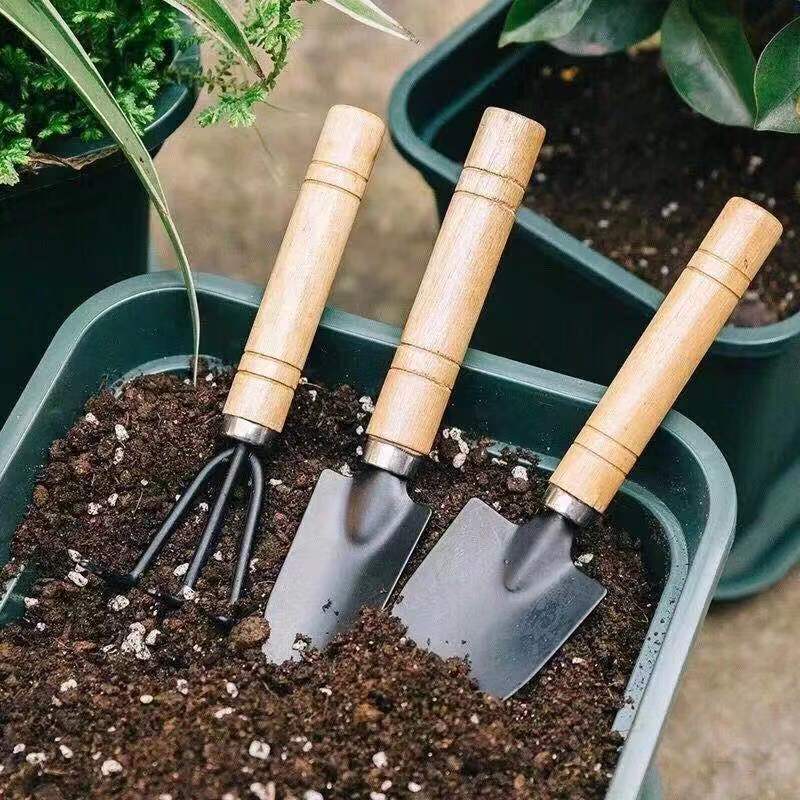 3PC/1Set Mini Gardening Tools  - Gardening Tools Bundle review and price