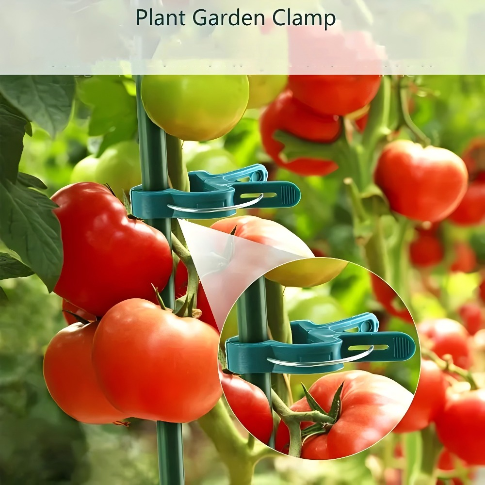 10/30/50pcs Adjustable Plant C - Gardening Tools Essential review and price