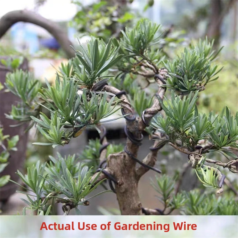 1.5MM Bonsai Wires Aluminum Bo - Gardening Tools And Uses review and price