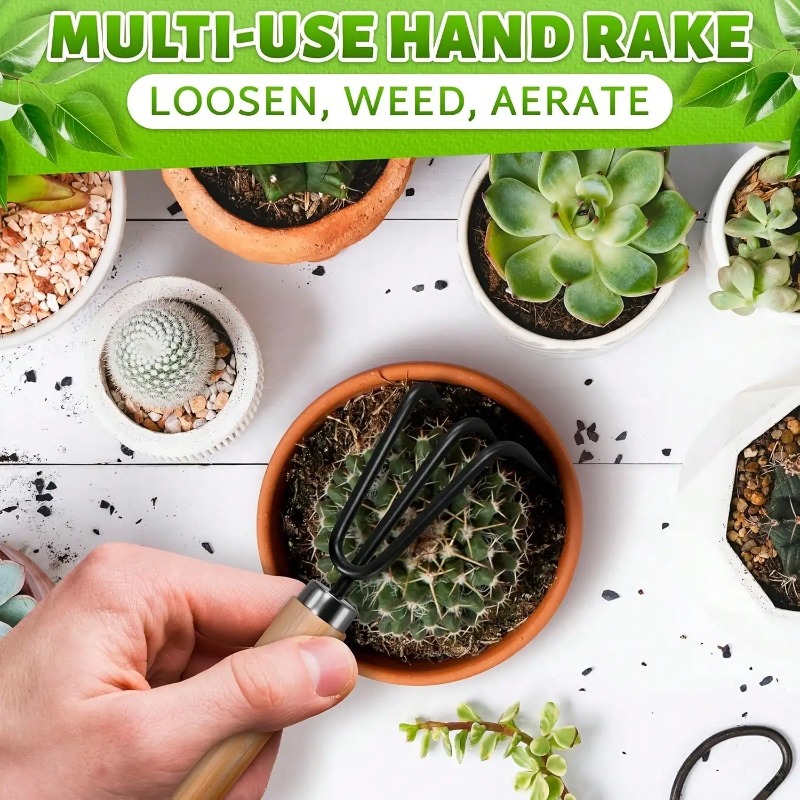 3PC/1Set Mini Gardening Tools  - Gardening Tools Bundle review and price