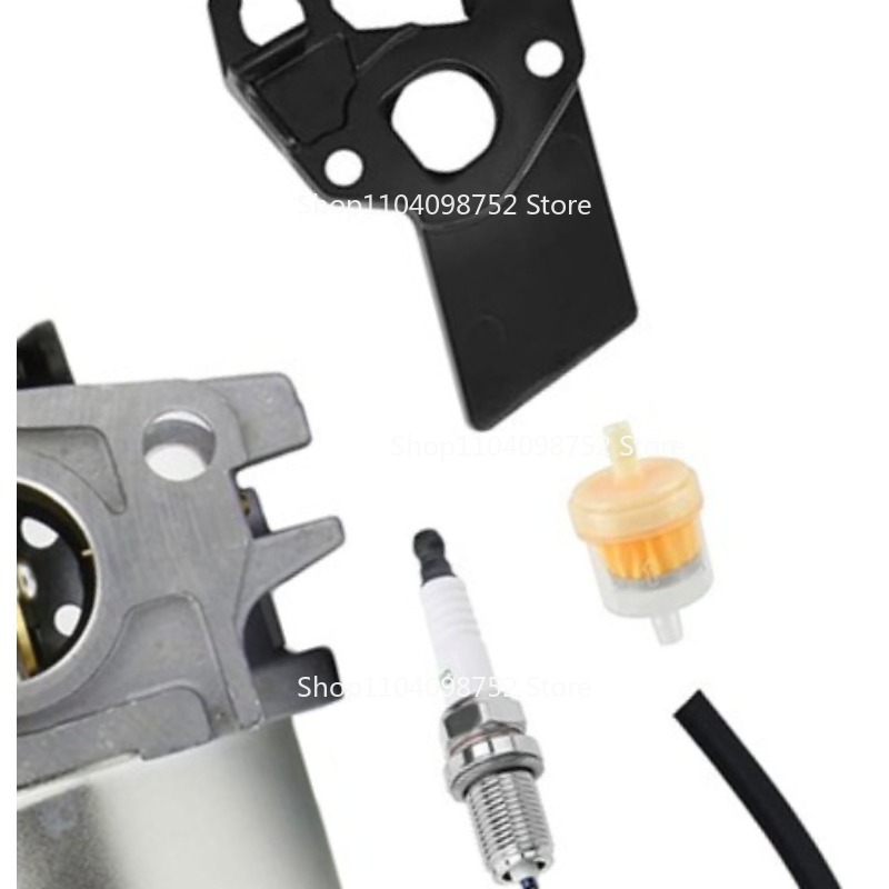 Carburetor Kit for B&S 596080  - Gardening Tools B&M review and price