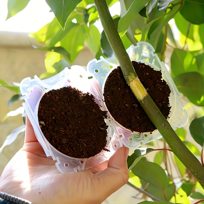 10Pcs High Pressure Plant Root - Gardening Tools Bundle review and price