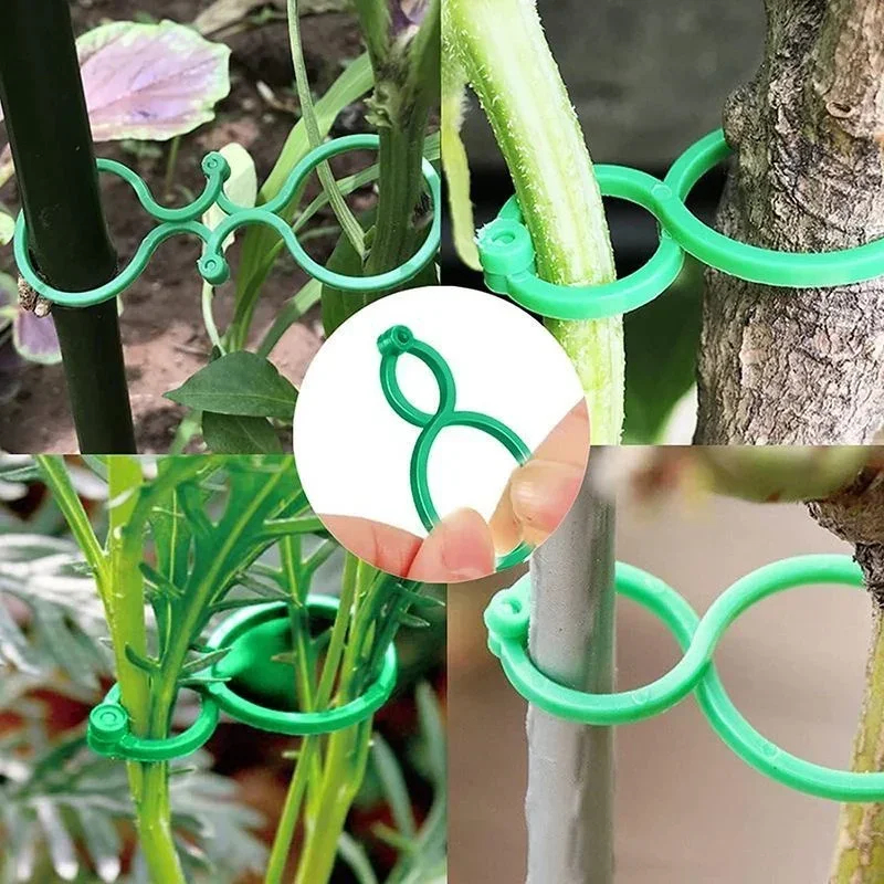 Plastic Garden Vine Strapping  - Gardening Tools Bundle review and price