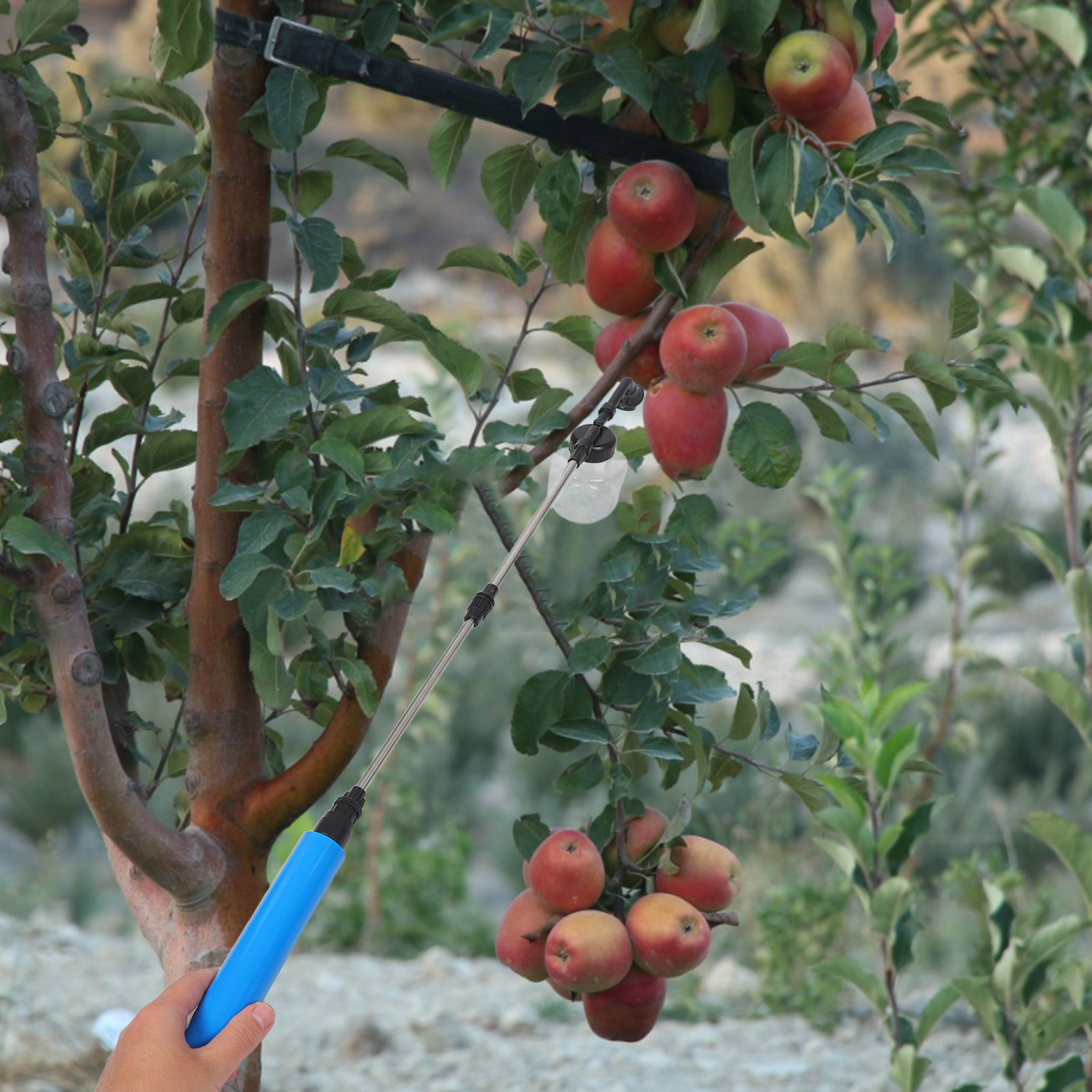 Hand Pollination Sprayer For F - Gardening Tools And Uses review and price