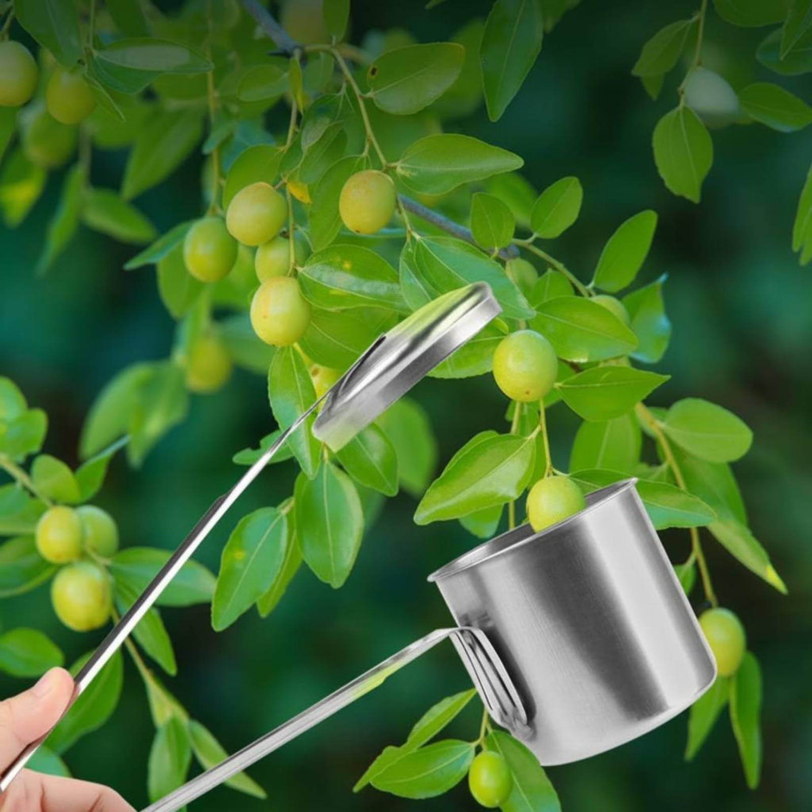Cup Fruit Picker Stainless Ste - Gardening Tools And Uses review and price