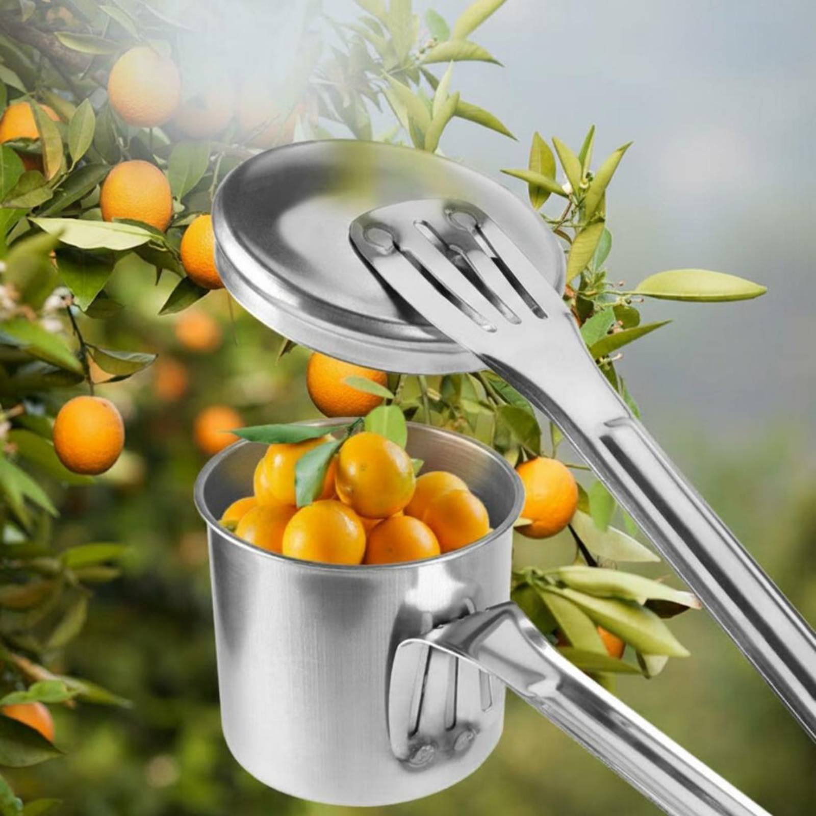 Cup Fruit Picker Stainless Ste - Gardening Tools And Uses review and price