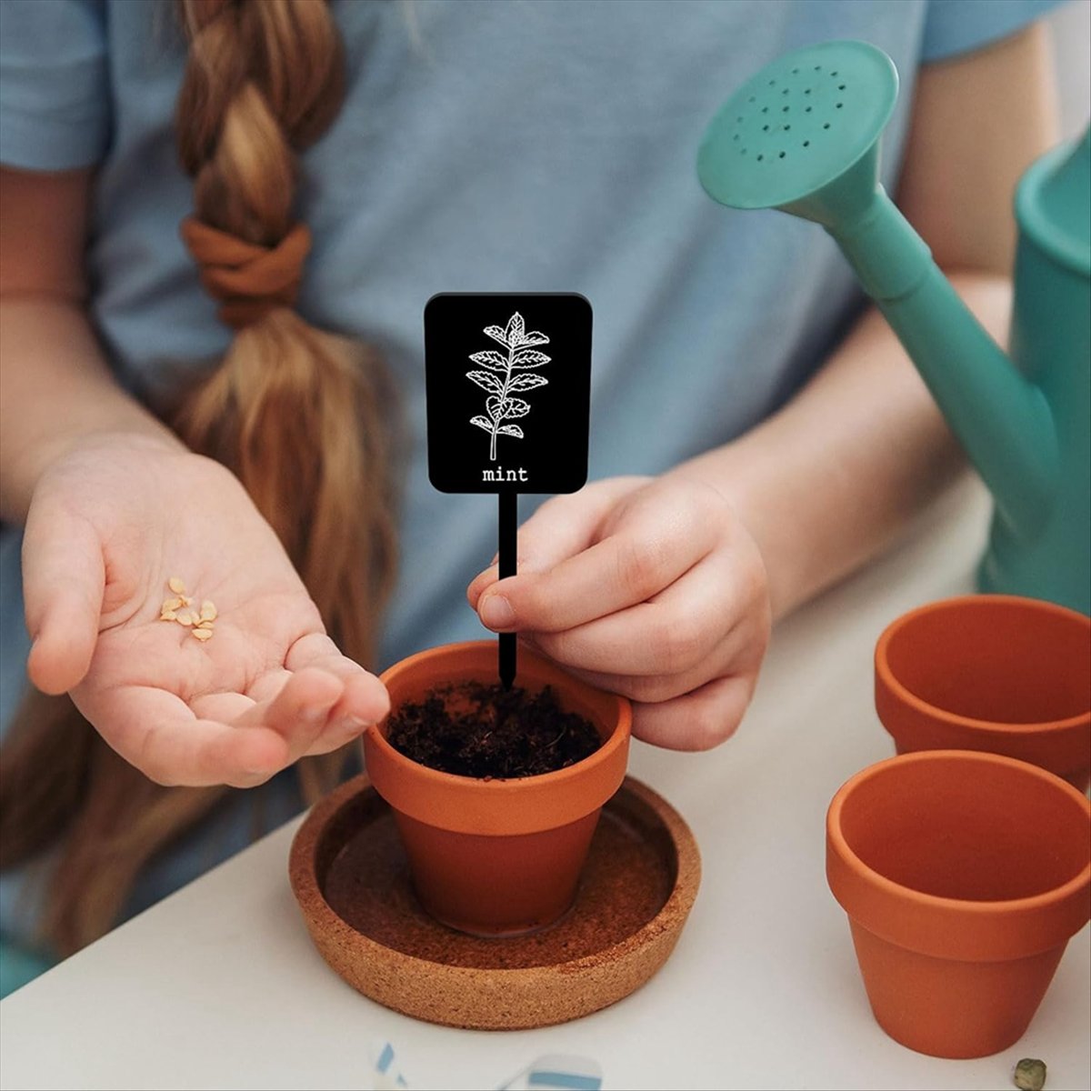 AA14 24Pcs Acrylic Plant Label - Gardening Tools Names review and price